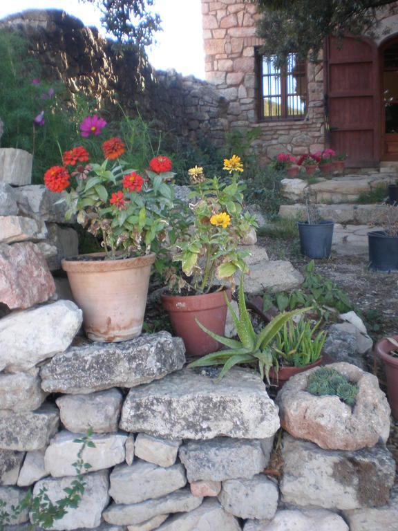 Mas Del Salin Villa Cornudella de Montsant Kültér fotó